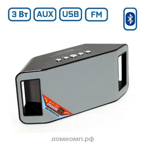 Портативная колонка BT WS-Y66B (microSD+USB+FM) черный
